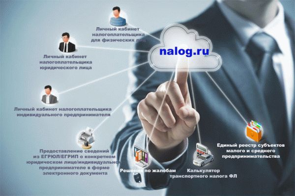 Функции сайта tax.ru.